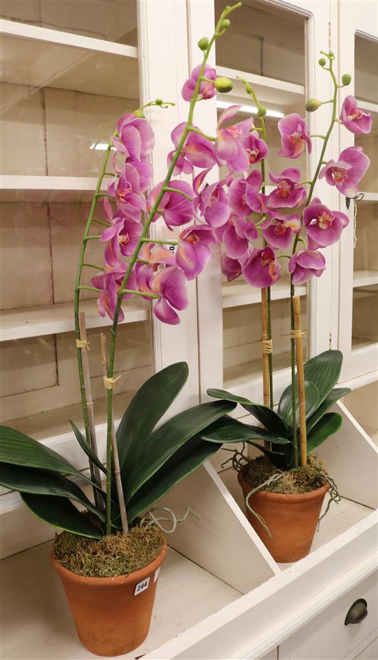 A pair of Sankey terracotta pots with artificial orchids